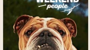 Fairfax wants you to listen to the dog